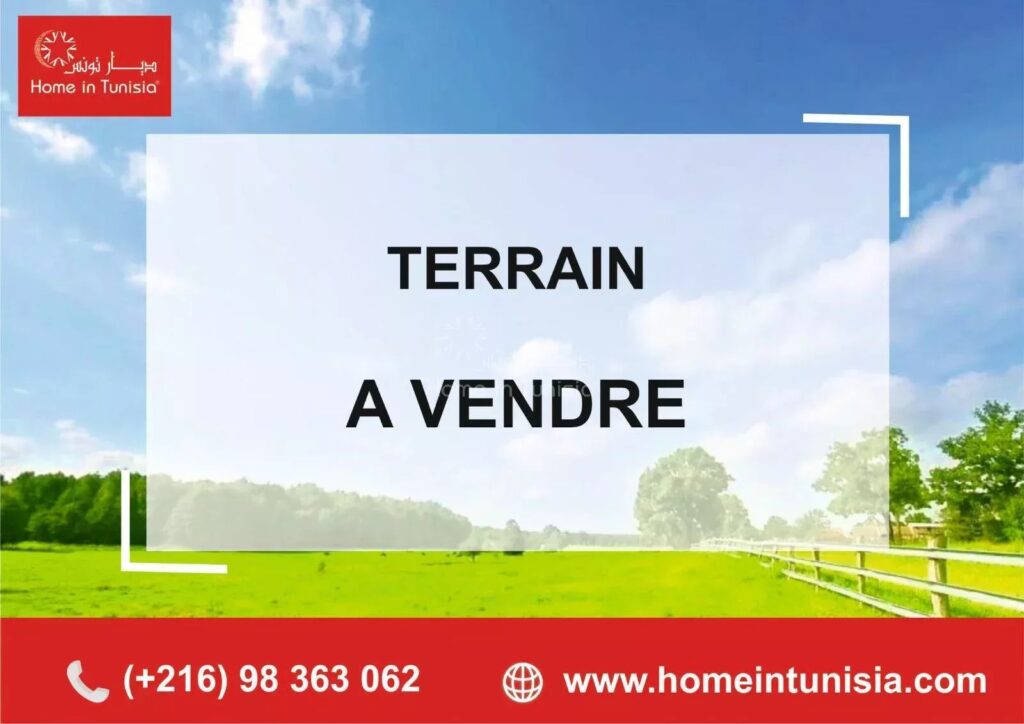 vente terrain constructible a chatt mariem