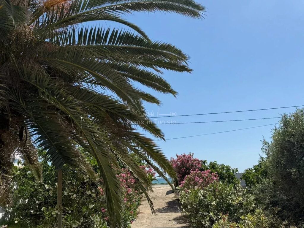 🏝 Magnifique Villa Pieds dans l’Eau à Louer 🌊