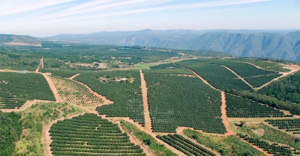 مشروع استثمار فلاحي واعد