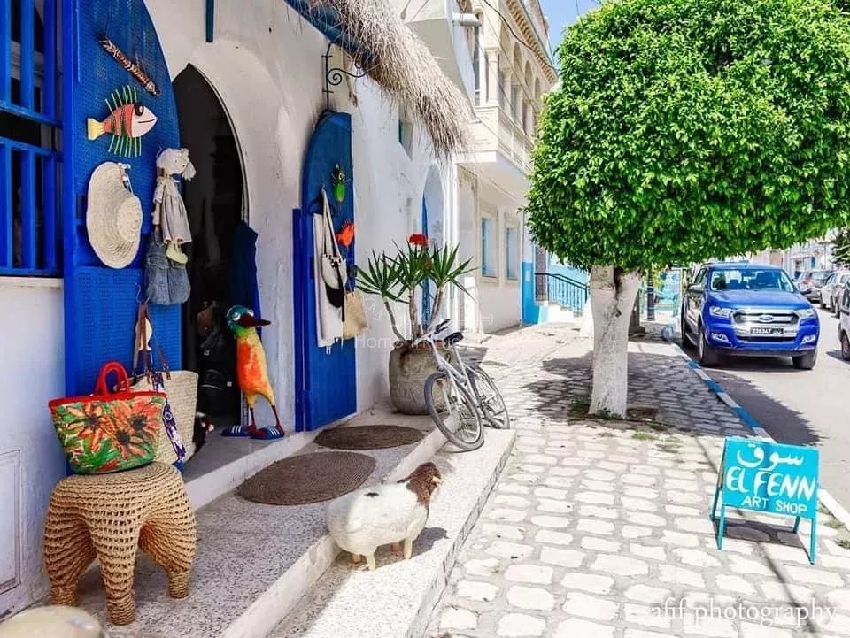 location saisonnière S+3 à Hergla