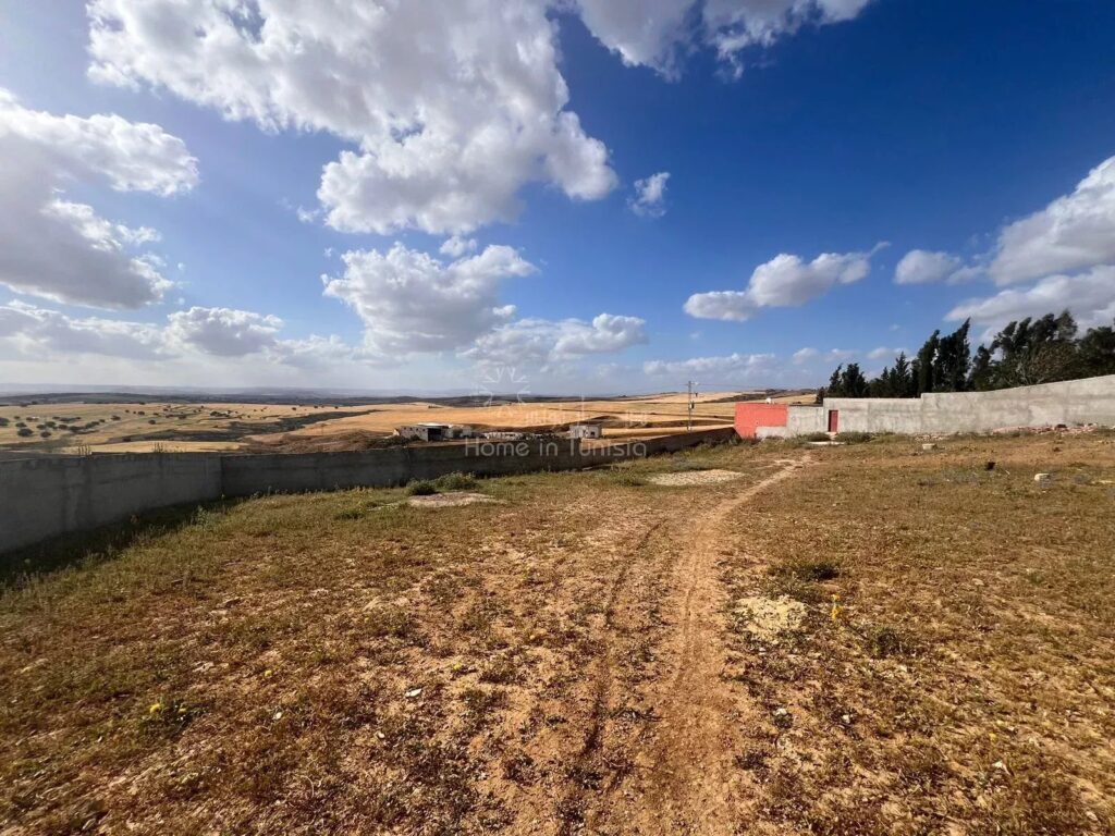 For Sale: Picturesque Land in Mornaguia, Tunisia
