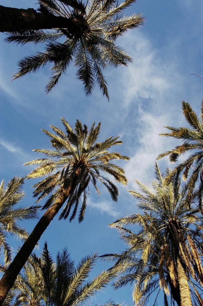 Palais des expositions et évenement