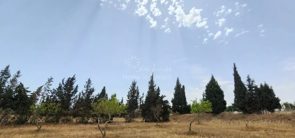 Terrain Agricole à vendre à chatt mariem