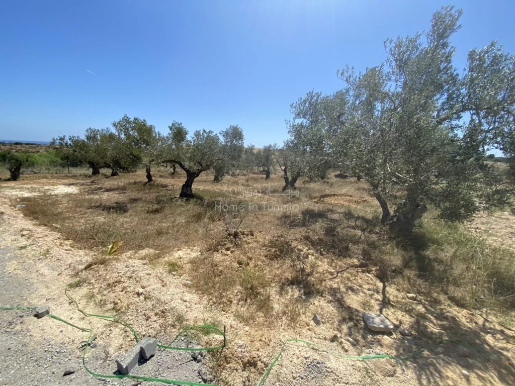 Terrain dans un Compound