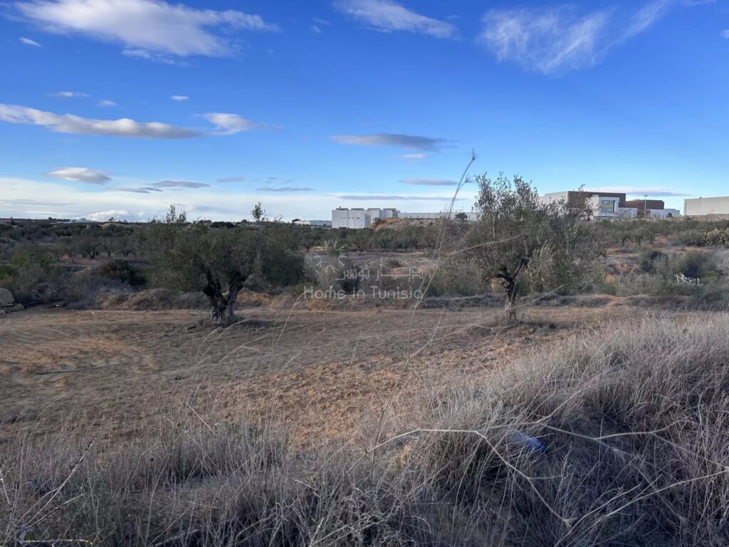 À Vendre : Terrain à Proximité du Mall of Sousse