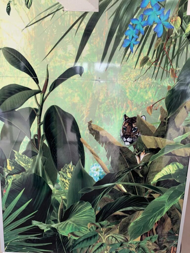 Restaurant à vendre avec vue magnifique à la Grande Motte