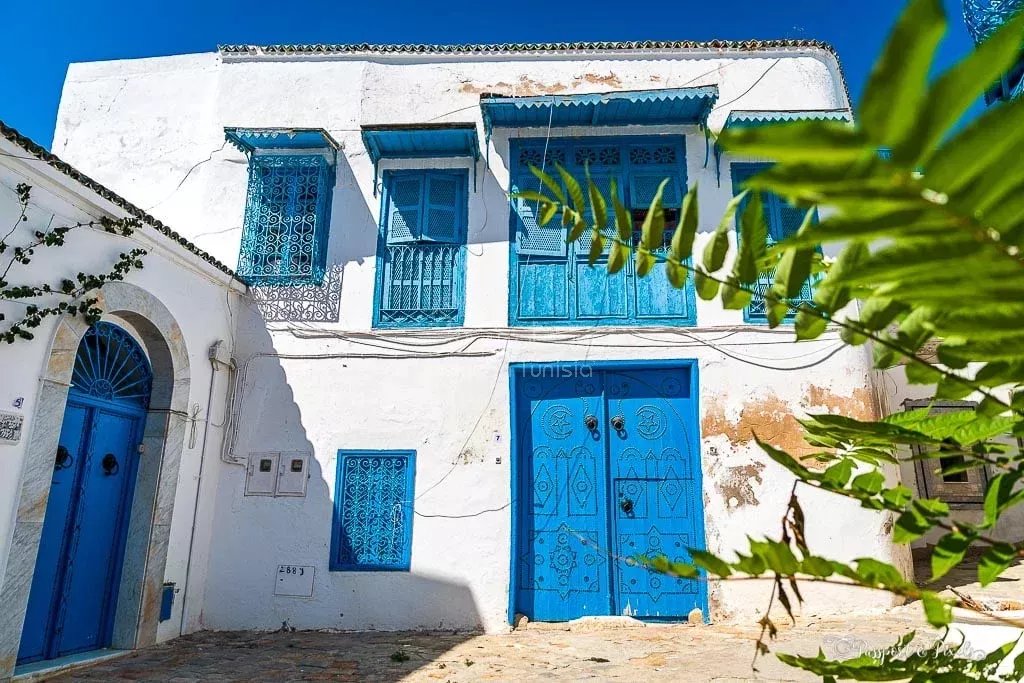 Die Schönheit der Heimat in Tunesien erforschen: Eine Reise durch Kultur, Erbe und Gastfreundschaft