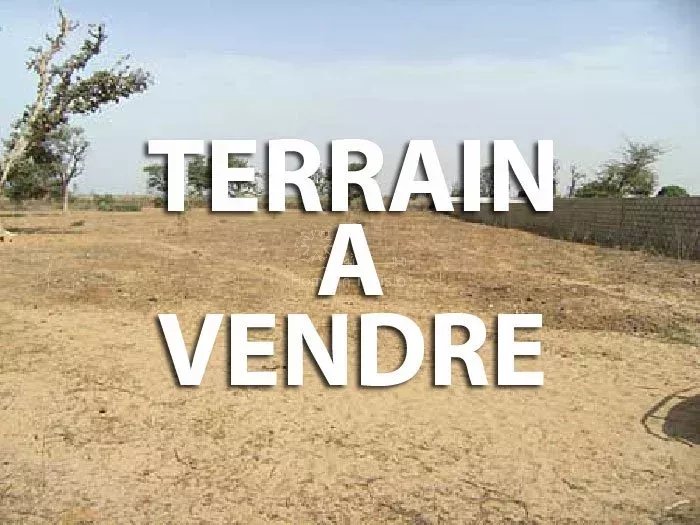 Opportunité Unique – Terrain Constructible à Tantana, Zone Ksour Gharnata