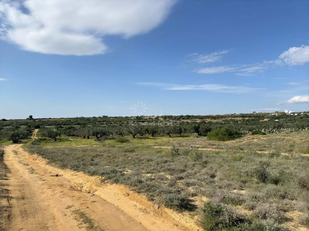 أرض زراعية بالقلعة الكبرى