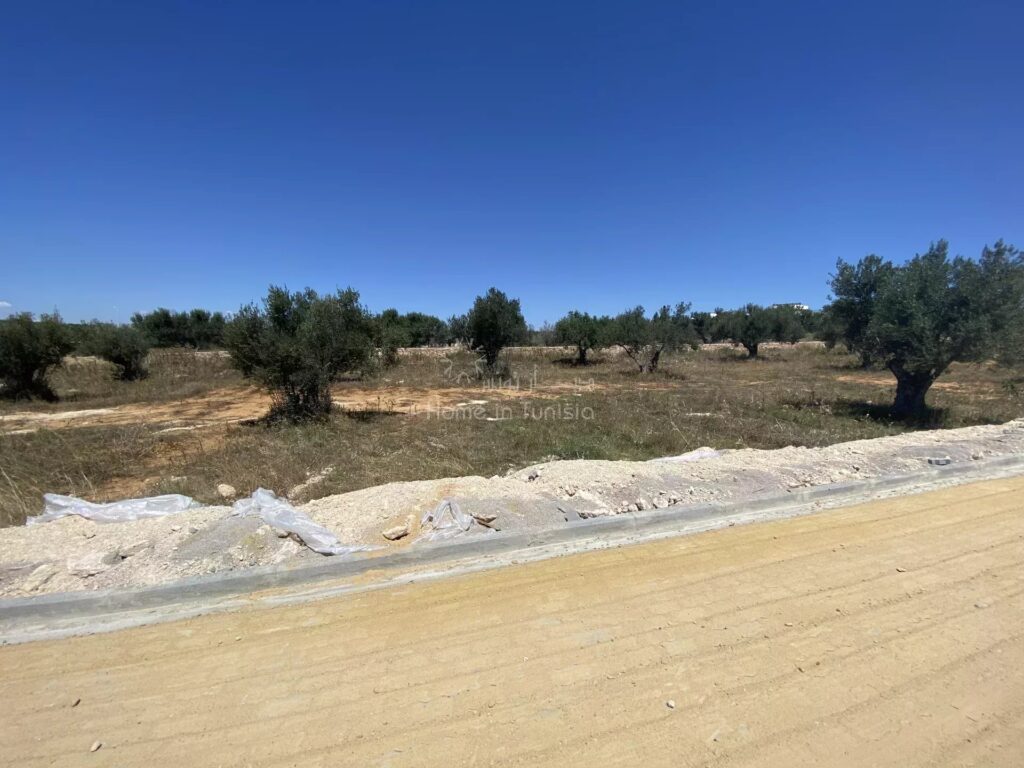 Terrain dans un Compound