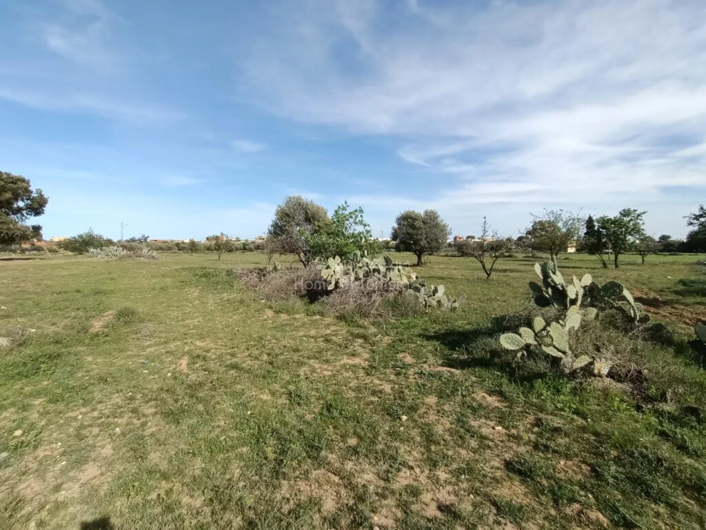 À Vendre : Terrain Constructible R+3 à Msaken, Sfax