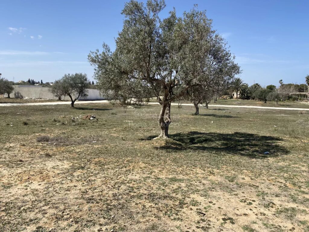À Vendre – Terrain Constructible à Chott Meriem (Ksour Gharnatha)