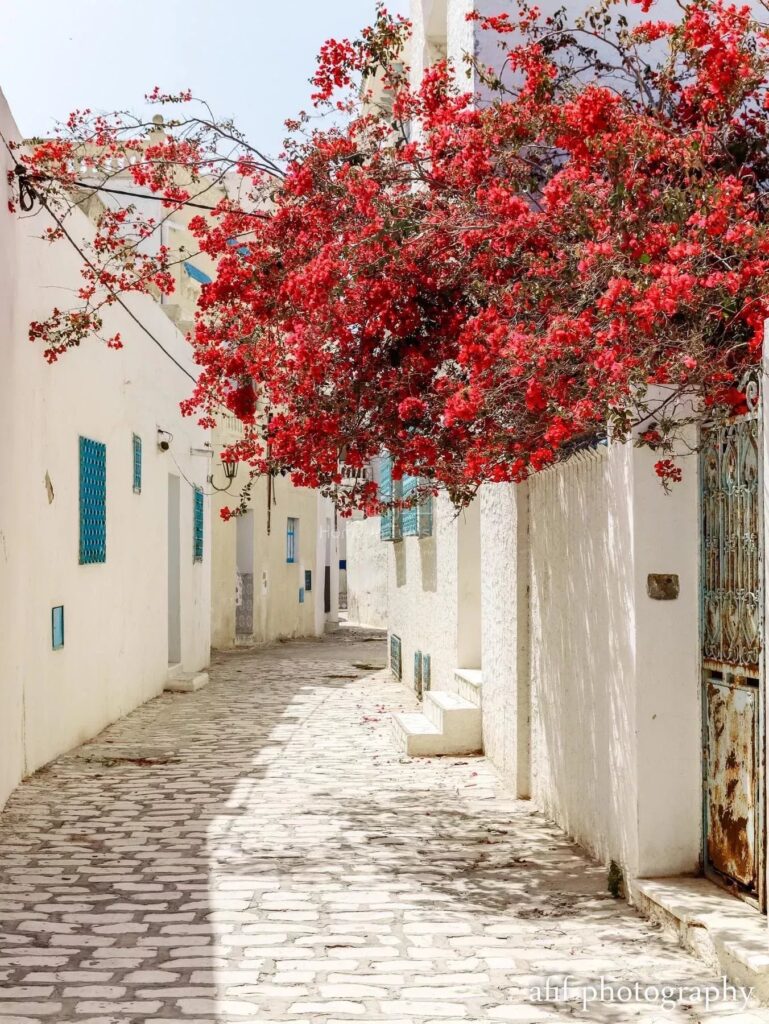 location saisonnière S+3 à Hergla