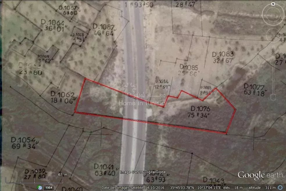 À Vendre : Terrain Agricole de 6000 m² Messadine près de la Route Principale ( Msaken – Ouardanine)
