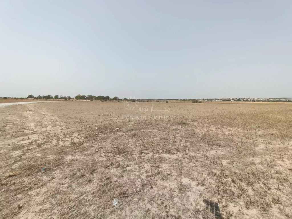 À VENDRE – BEAU TERRAIN AGRICOLE CONSTRUCTIBLE