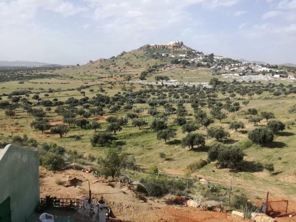 À Vendre : Maison de Campagne