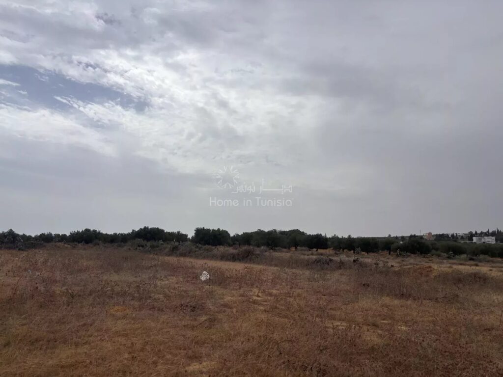 🌴 قطع أراضٍ زراعية للبيع – إطلالة على البحر والمساحات الخضراء – رميلة، شط مريم، أكودة سوسة