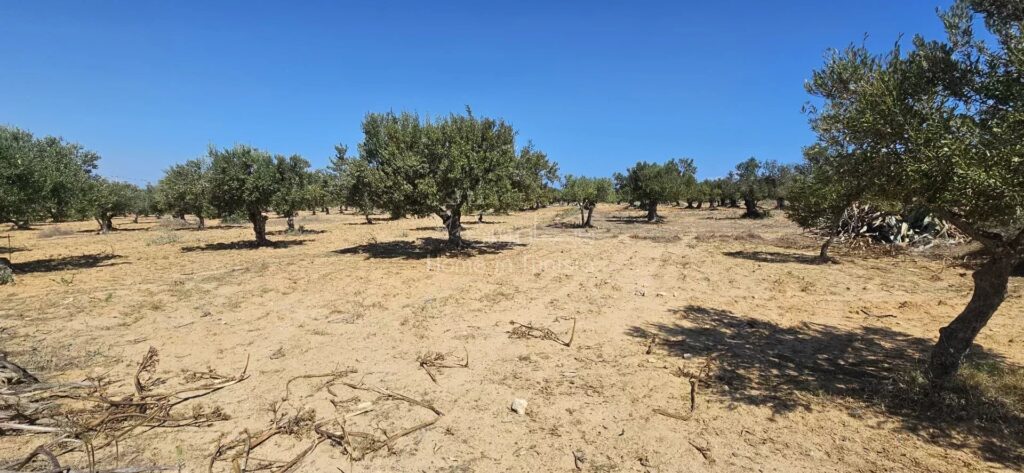 terrain constructible avec vue sur mer